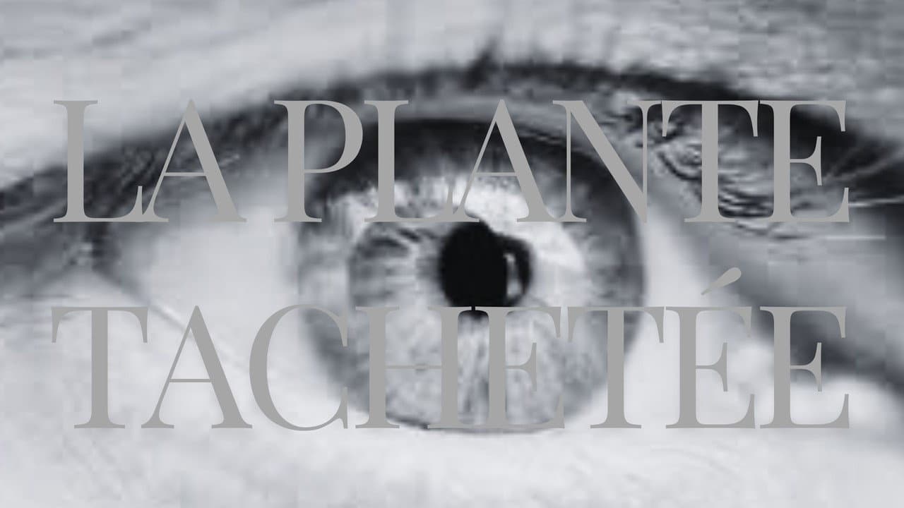 Backdrop – La Plante Tachetée