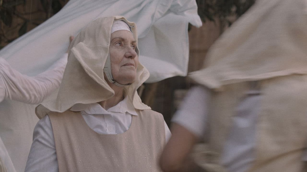 Backdrop – Daucus Carota