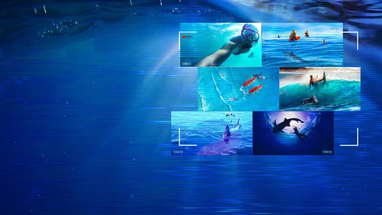 Backdrop – Caught! When Sharks Attack