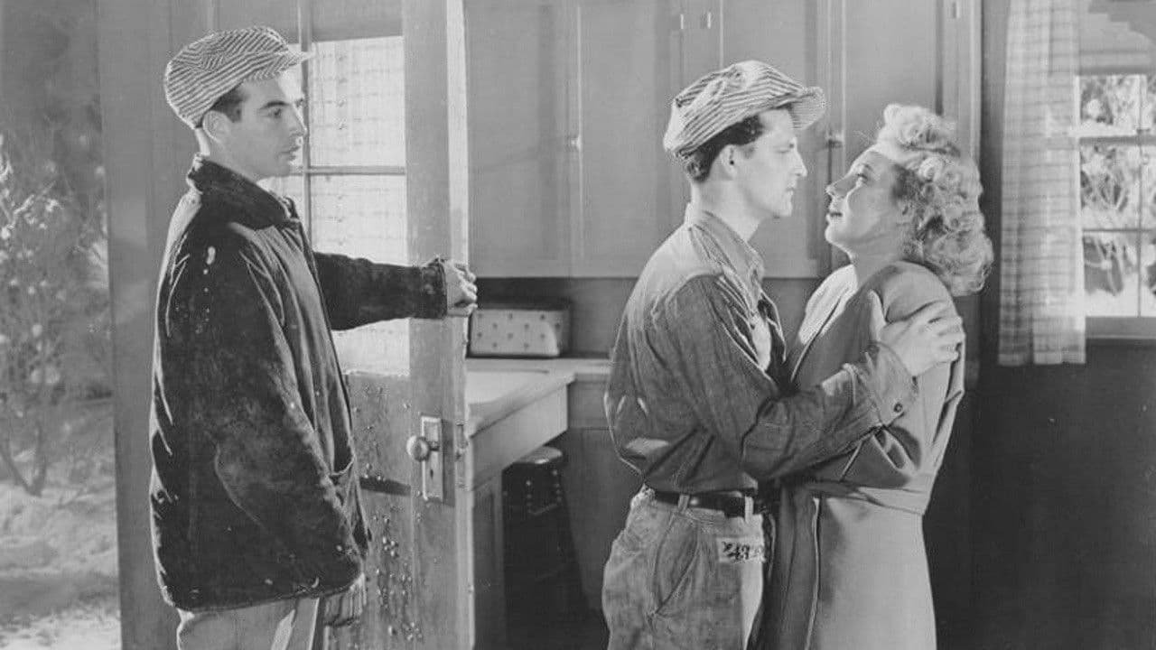 Backdrop – Rebellion im grauen Haus