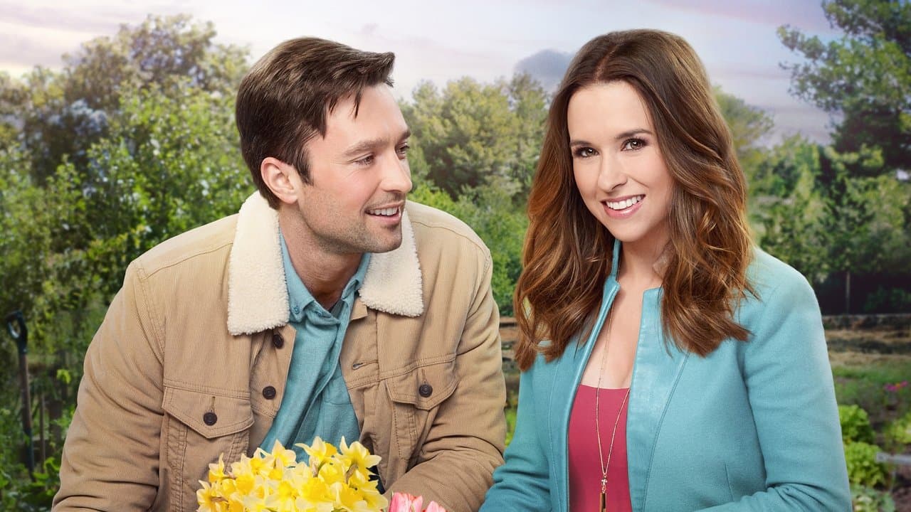 Backdrop – Moonlight in Vermont