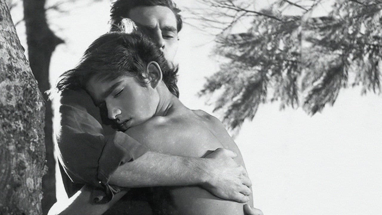 Backdrop – O Menino e o Vento