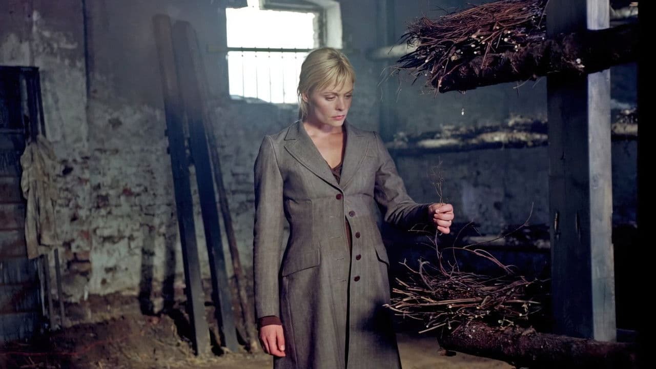 Backdrop – Die Krähen