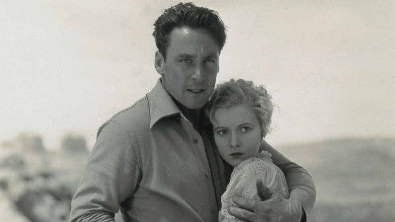 Backdrop – Timber Stampede