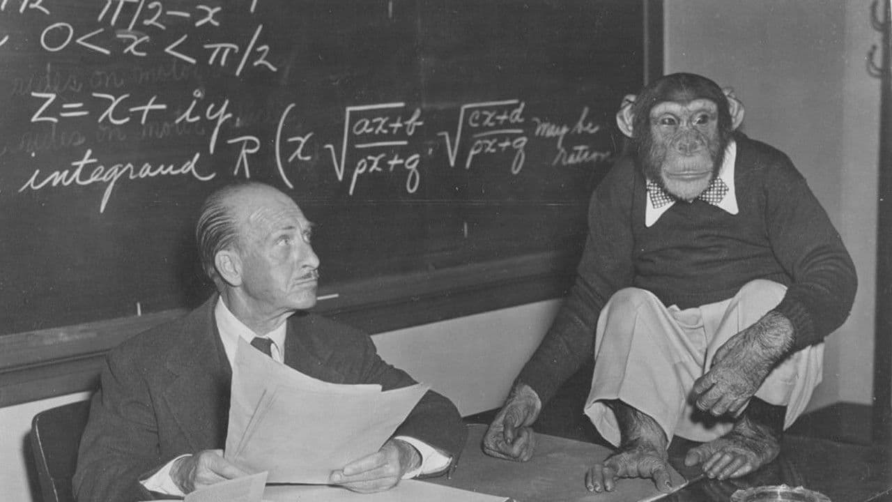 Backdrop – Bonzo Goes to College