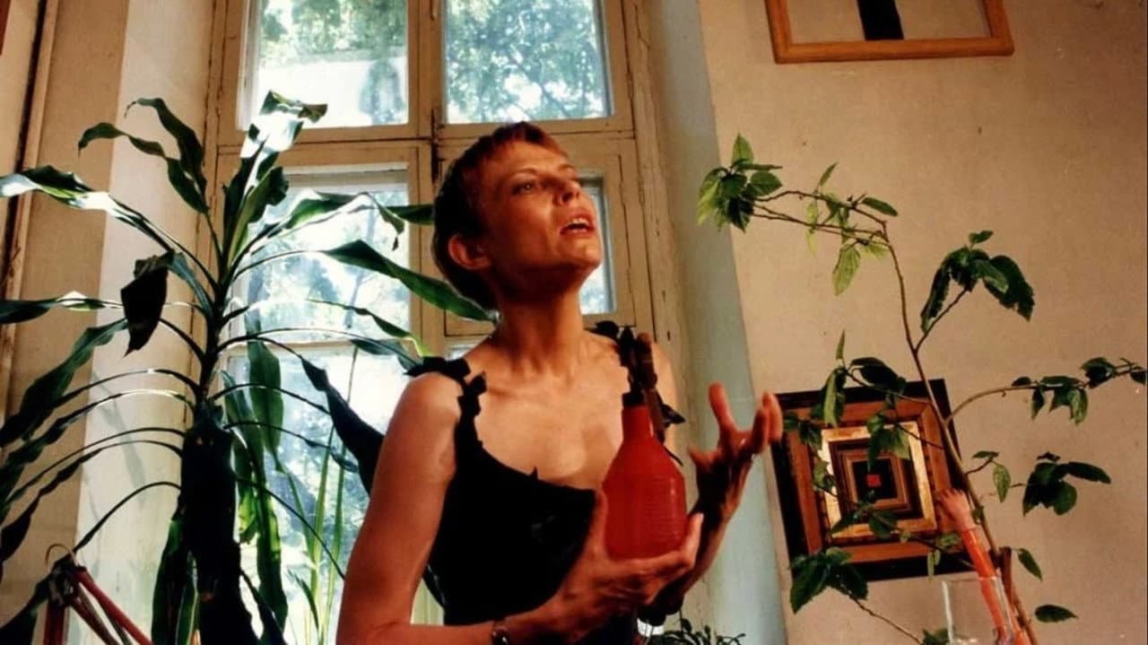 Backdrop – Письмо в Америку