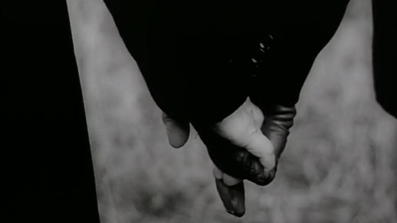 Backdrop – Zahrada