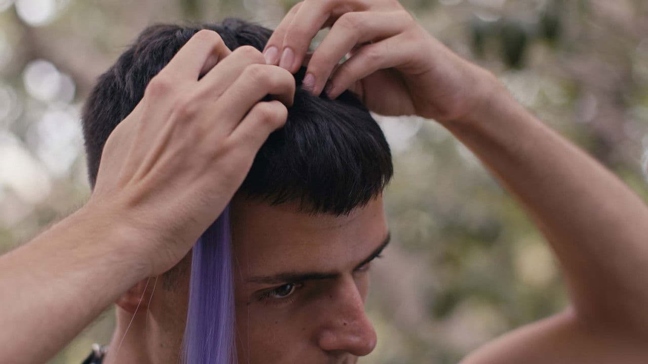 Backdrop – Las mechitas