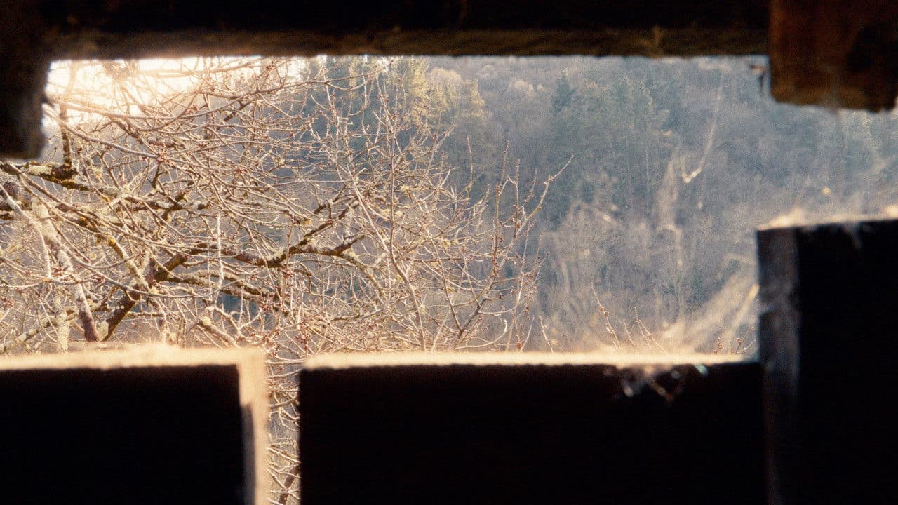 Backdrop – O Baleiro