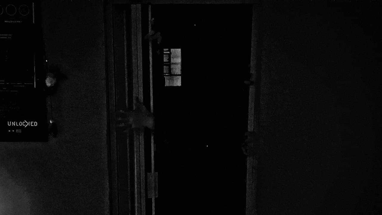 Backdrop – DEATH SENTENCE: LUCIDITY