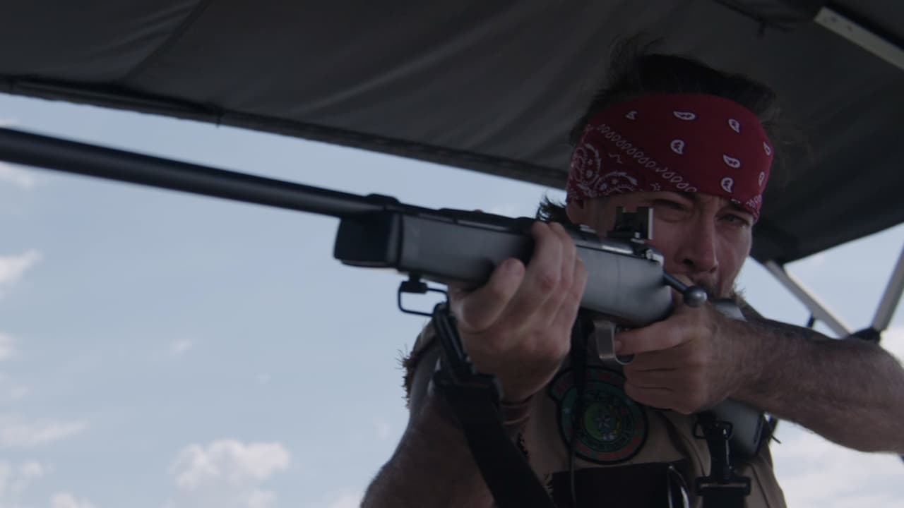 Backdrop – Bull Shark 2