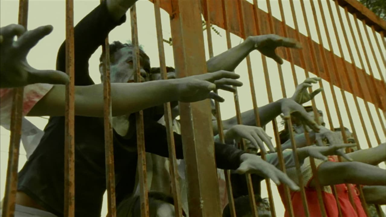 Backdrop – WiLD ZERO