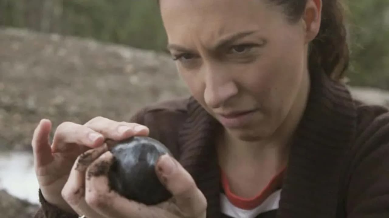 Backdrop – The Device