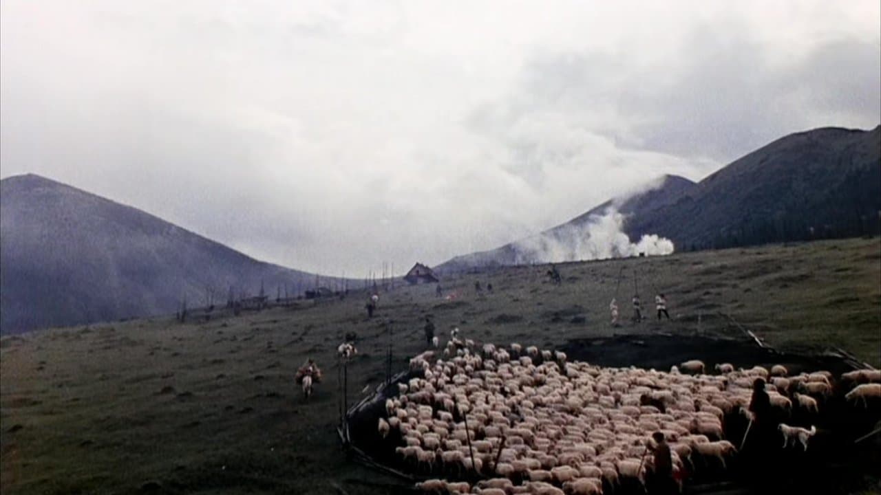 Backdrop – Feuerpferde