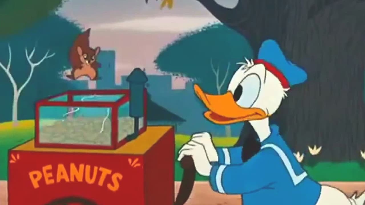 Backdrop – Das fliegende Eichhörnchen