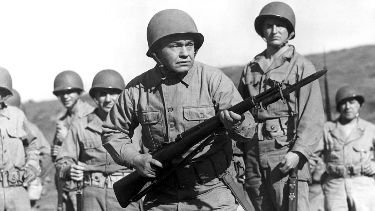 Backdrop – Mr. Winkle Goes to War