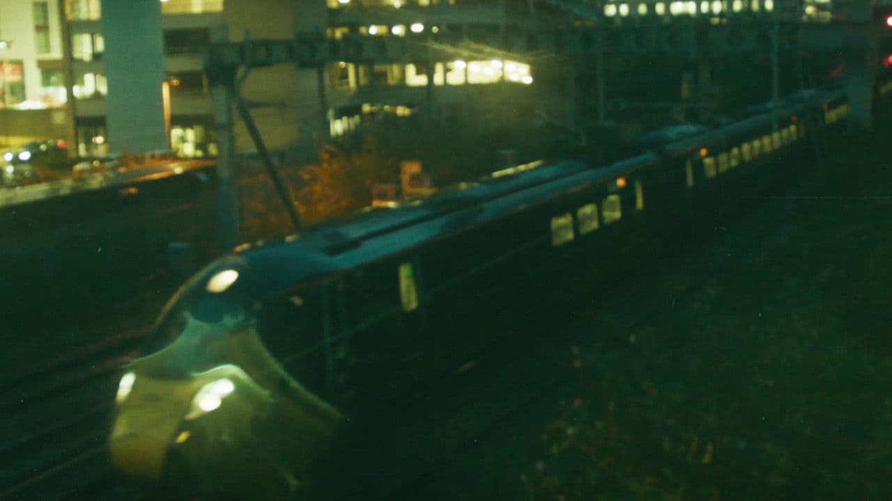 Backdrop – Butterfly