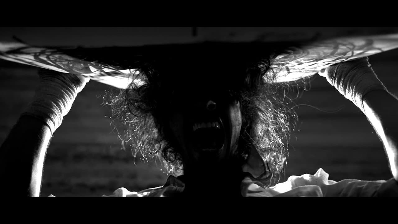 Backdrop – El Arte Me Hizo Desaparecer