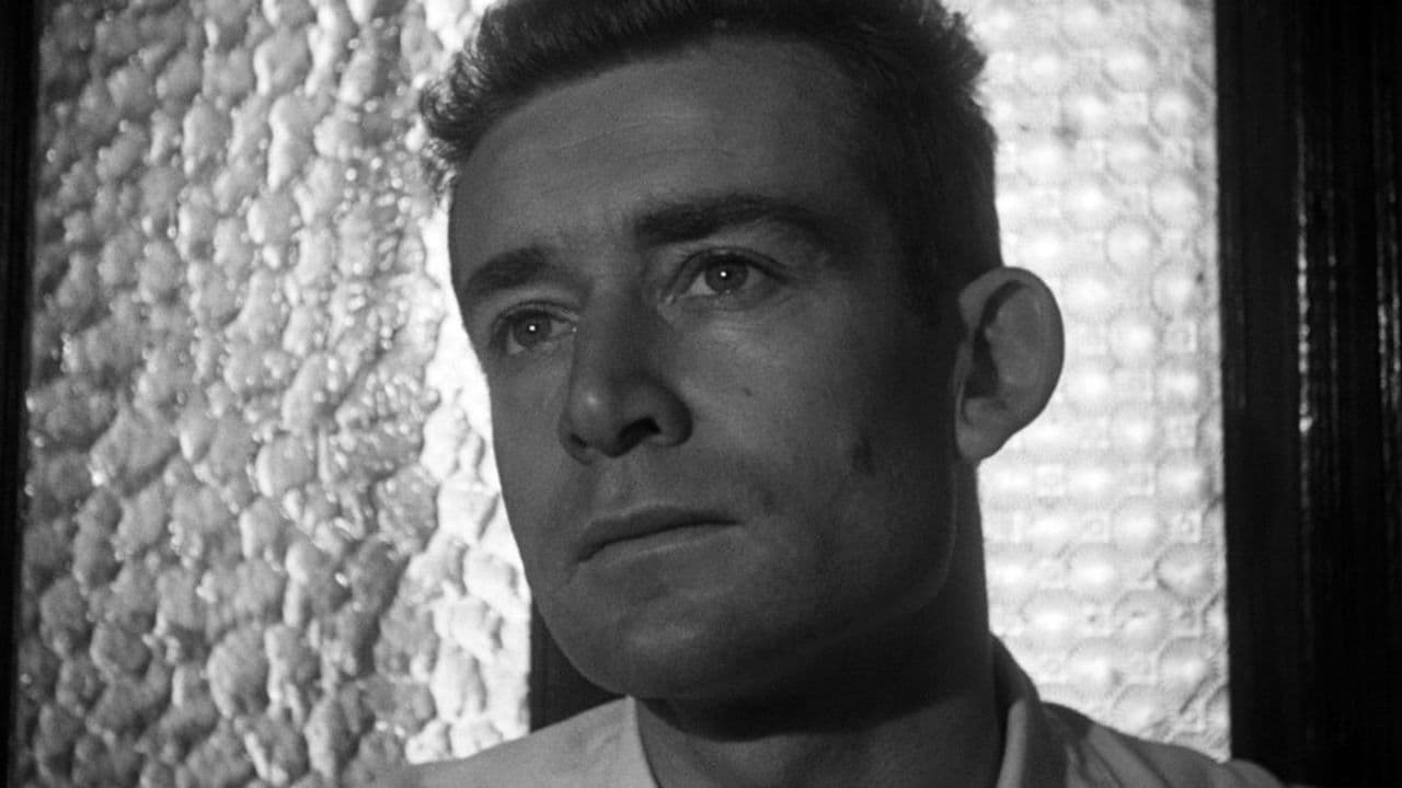 Backdrop – Les Oliviers de la justice