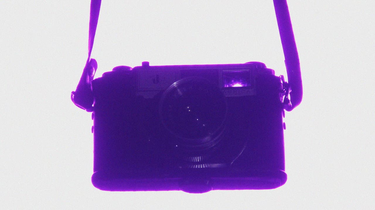 Backdrop – EXÓTICOS