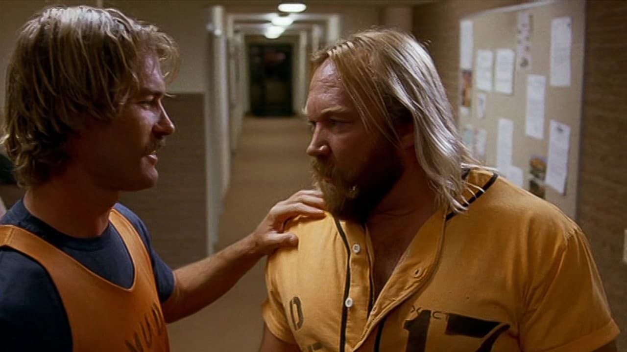 Backdrop – Church Ball