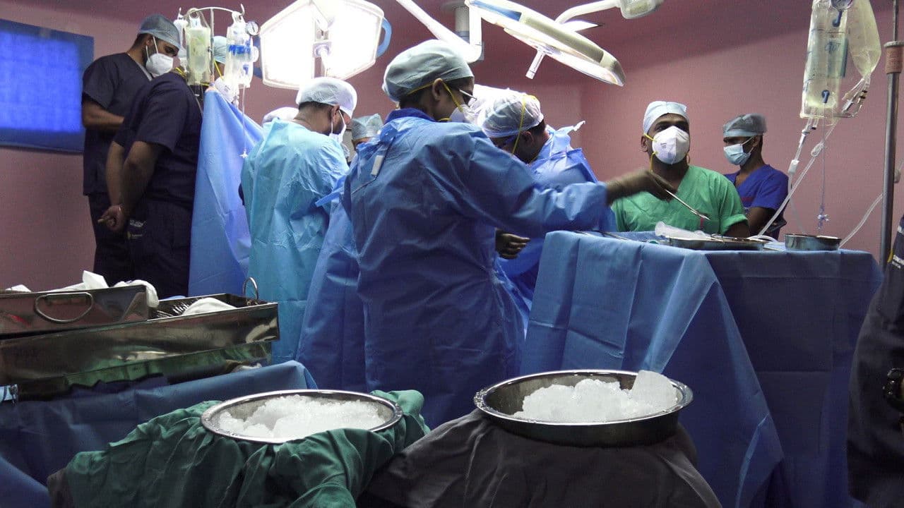 Backdrop – God Vulture and Human