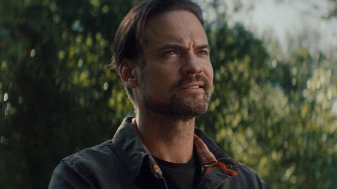 Backdrop – Every Other Animal