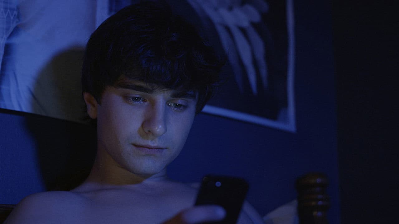 Backdrop – PYOTR495