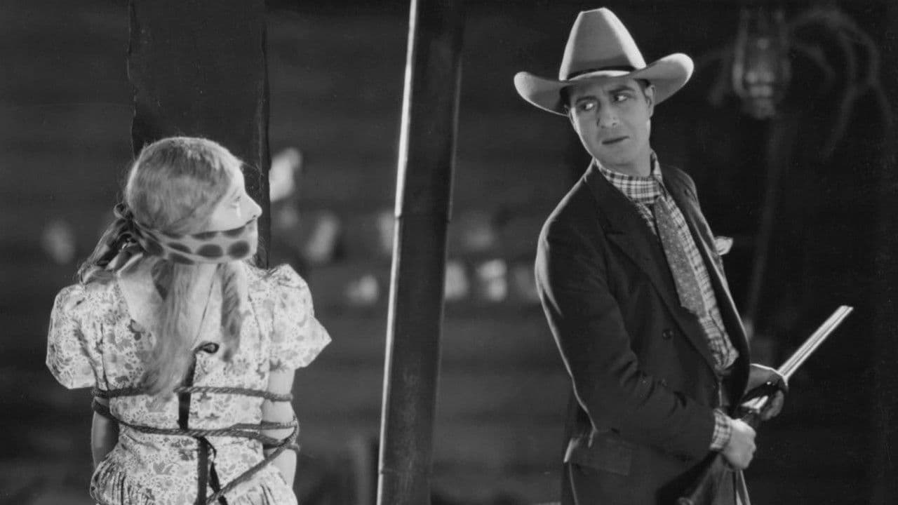 Backdrop – Shooting Stars