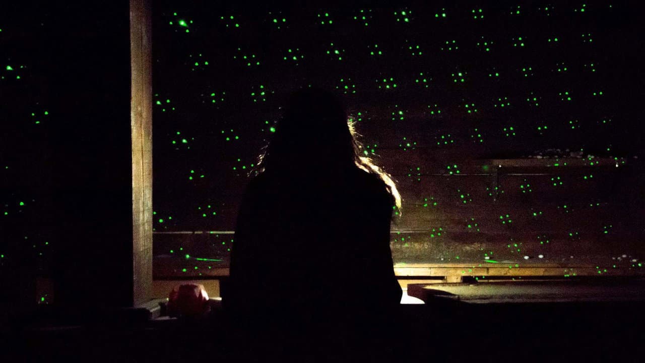Backdrop – La disco resplandece