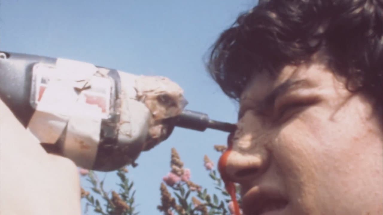 Backdrop – Summer Horror Day