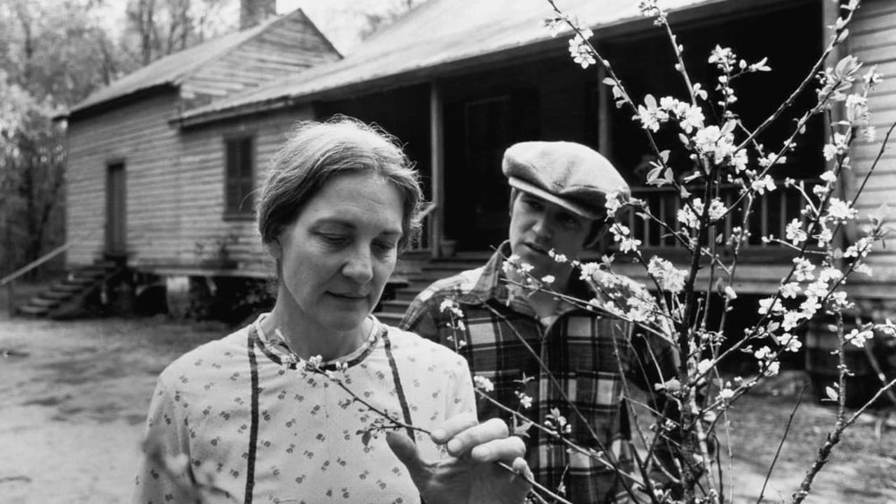 Backdrop – Gal Young 'Un