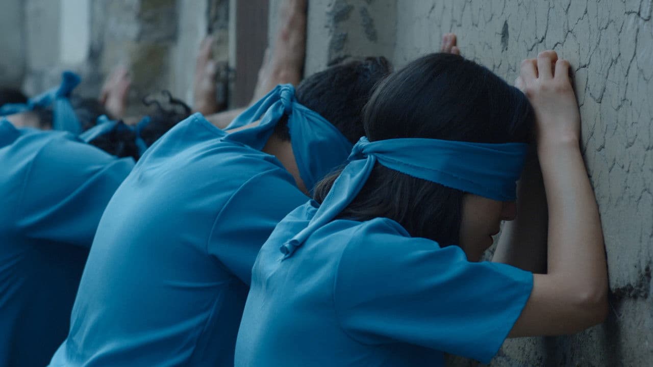 Backdrop – Azules Turquesas