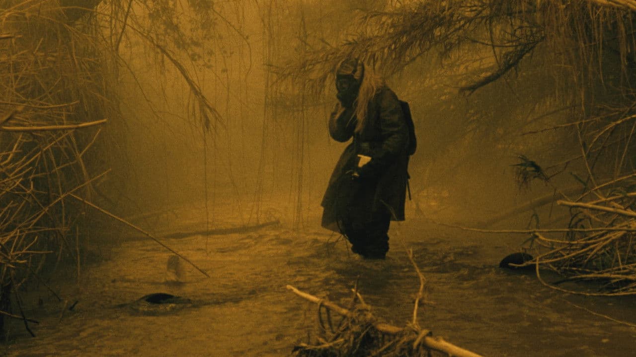 Backdrop – Paradiso