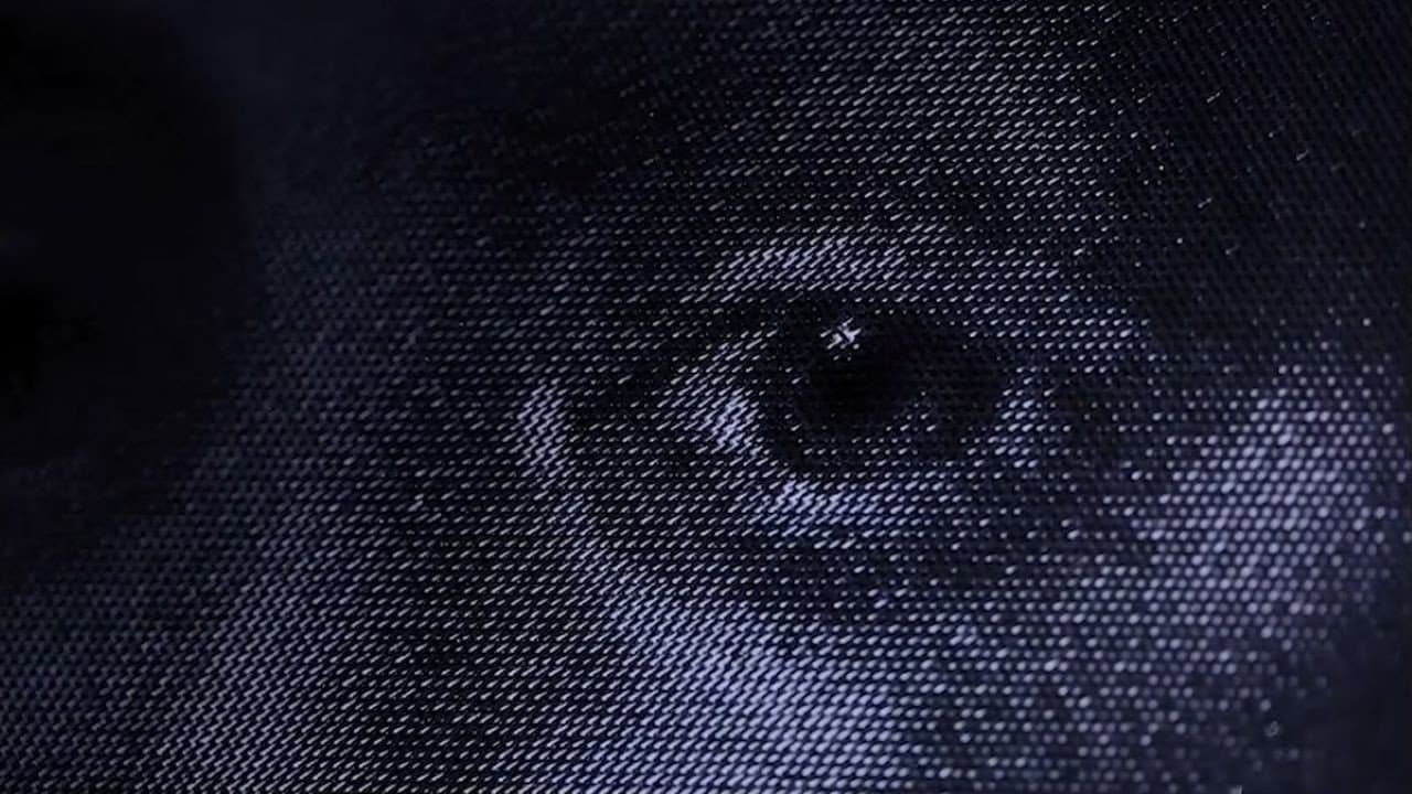 Backdrop – Le tableau