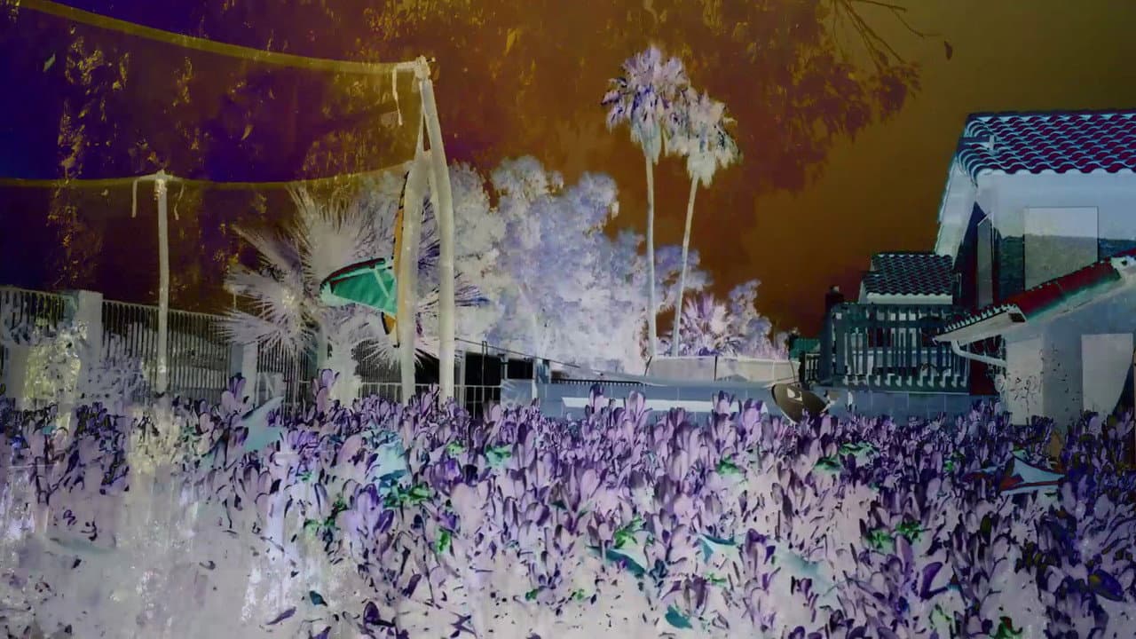 Backdrop – Revisited Remunerations Rapturously Collapse When Recompensed