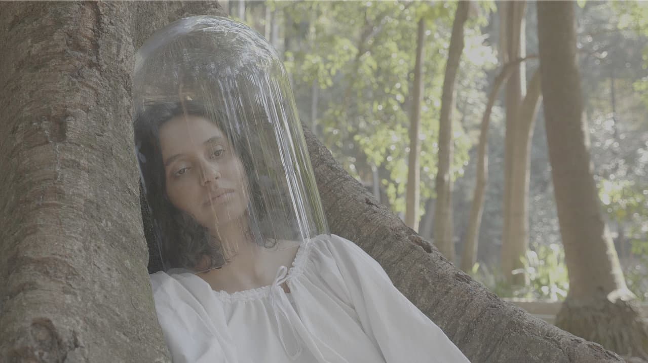 Backdrop – Camaleões