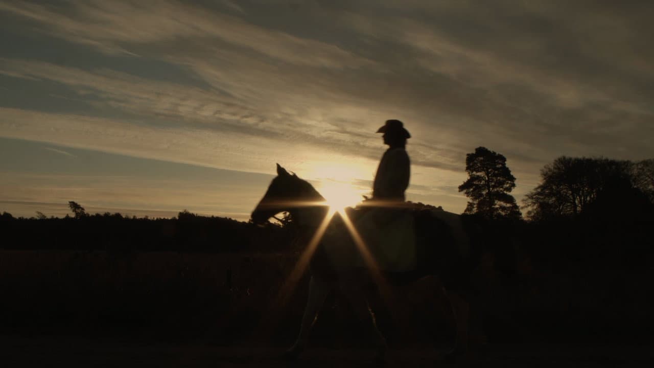Backdrop – Toxteth Cowboy