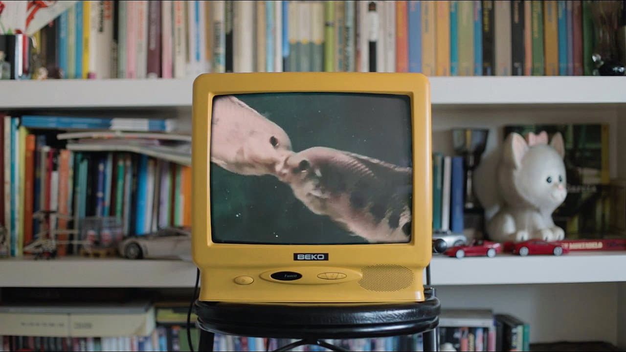 Backdrop – DIYSEX