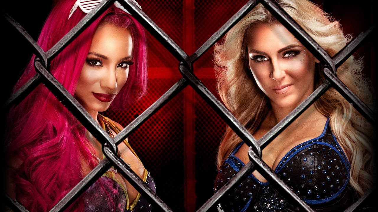 Backdrop – WWE Hell in a Cell 2016
