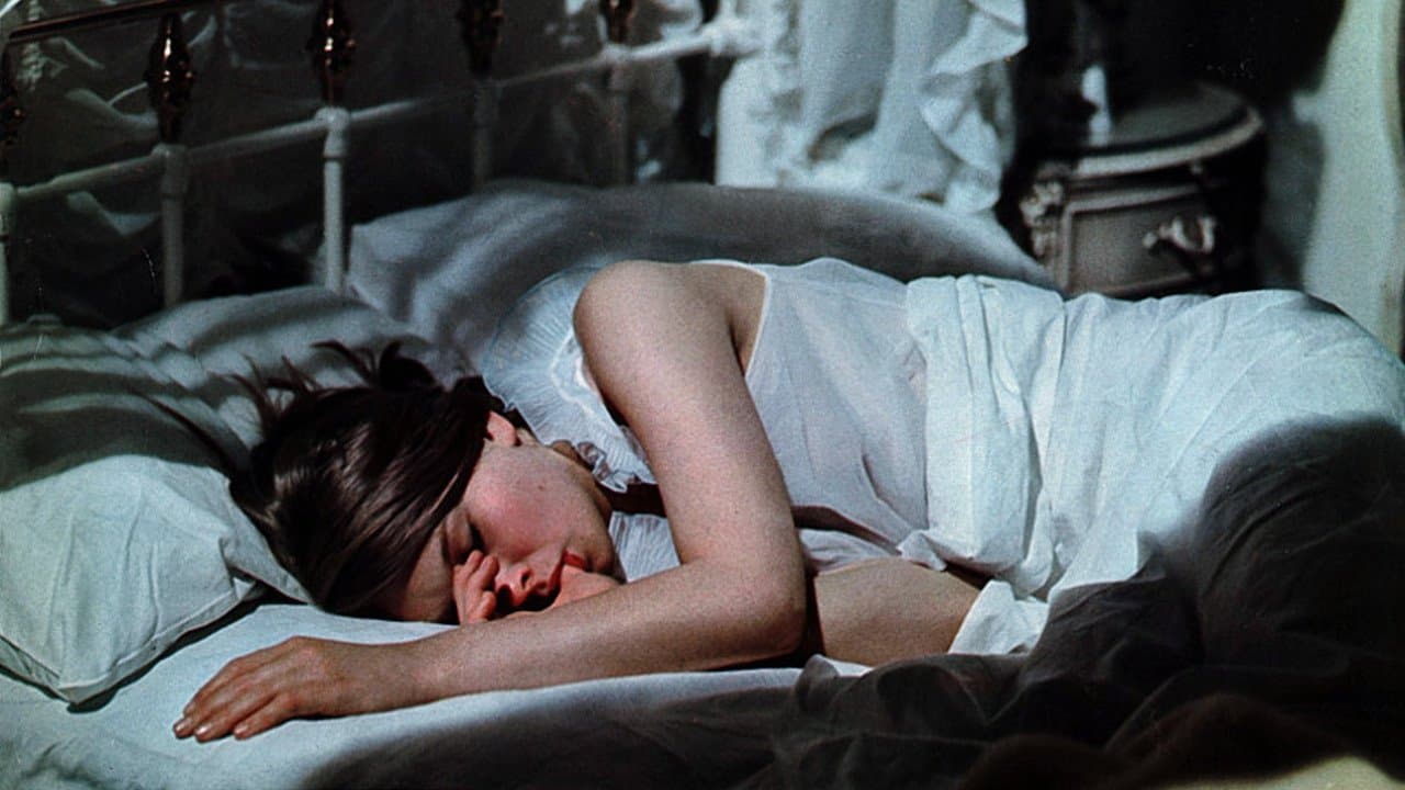 Backdrop – Baby Love