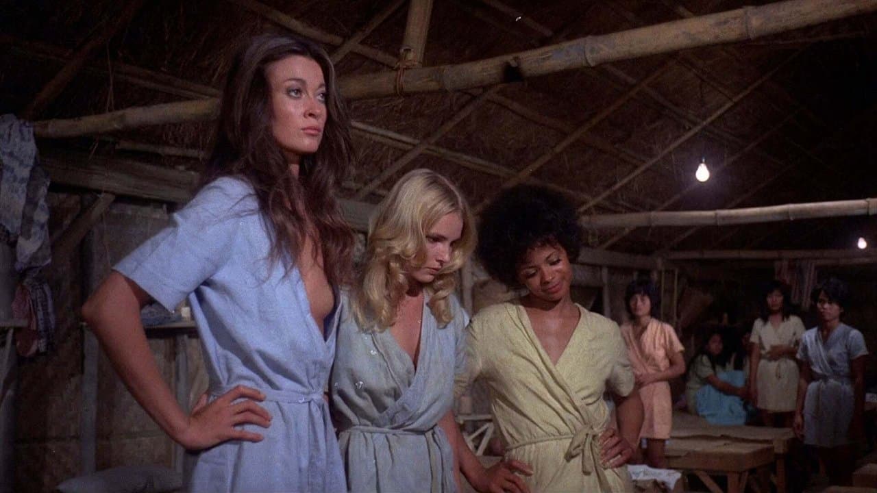 Backdrop – The Big Bird Cage