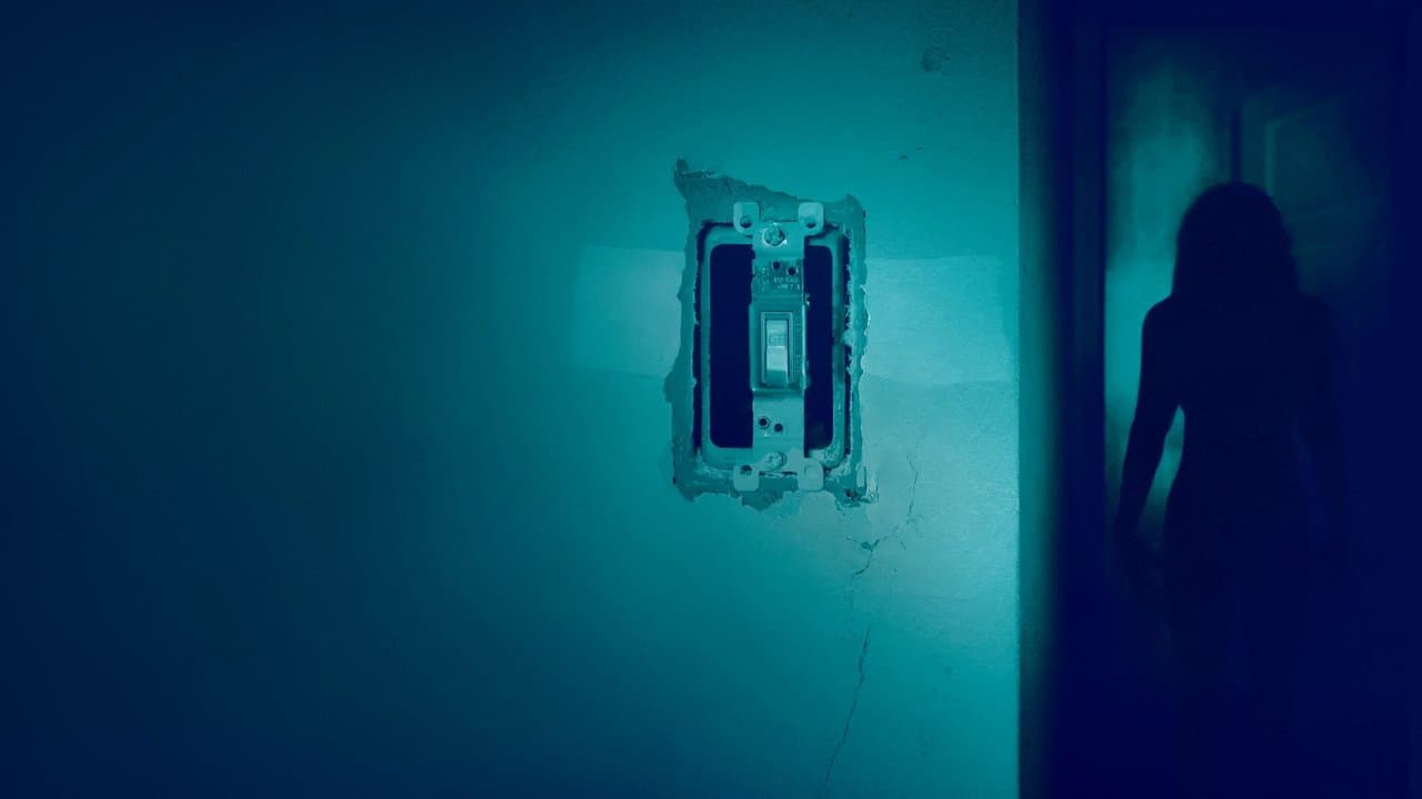 Backdrop – Lights Out
