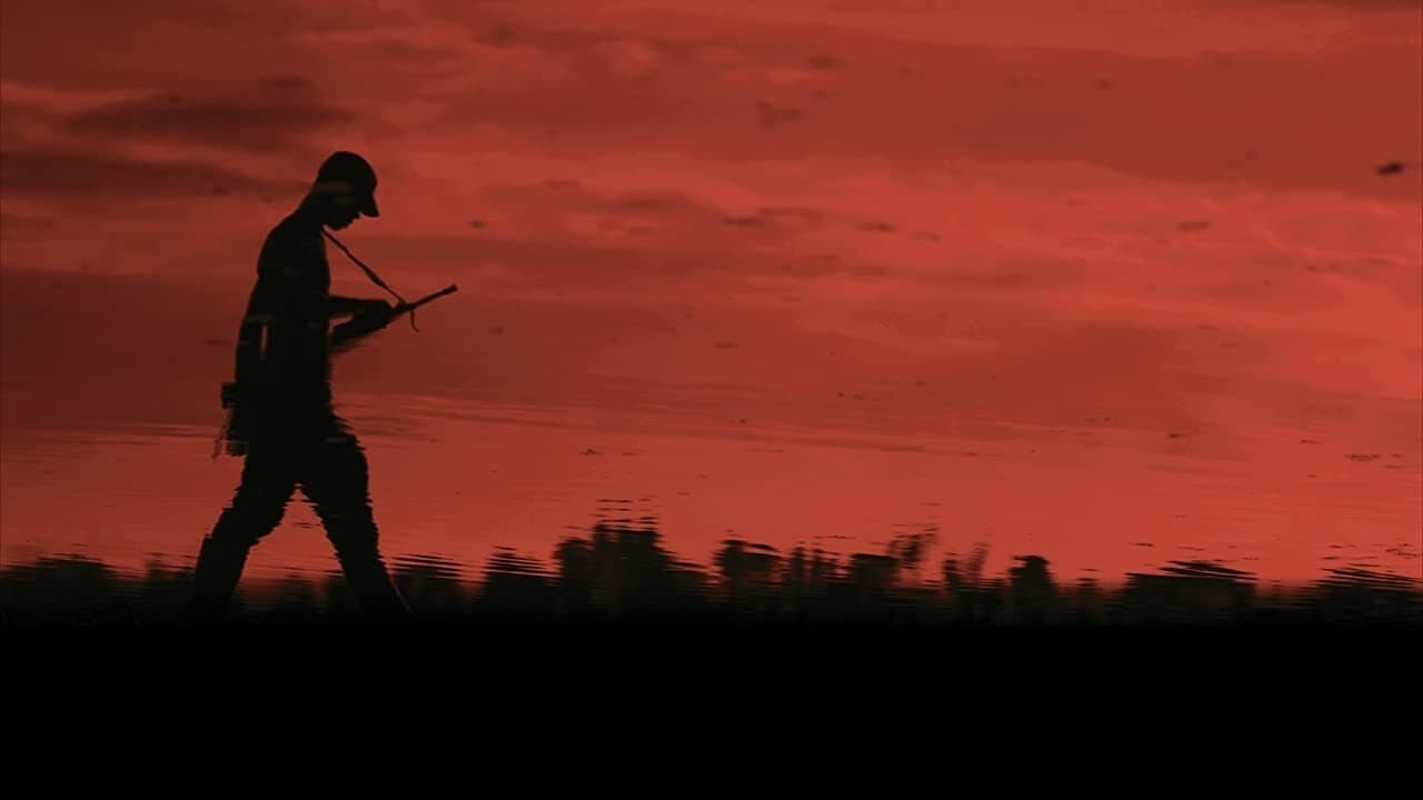 Backdrop – Colombia in My Arms