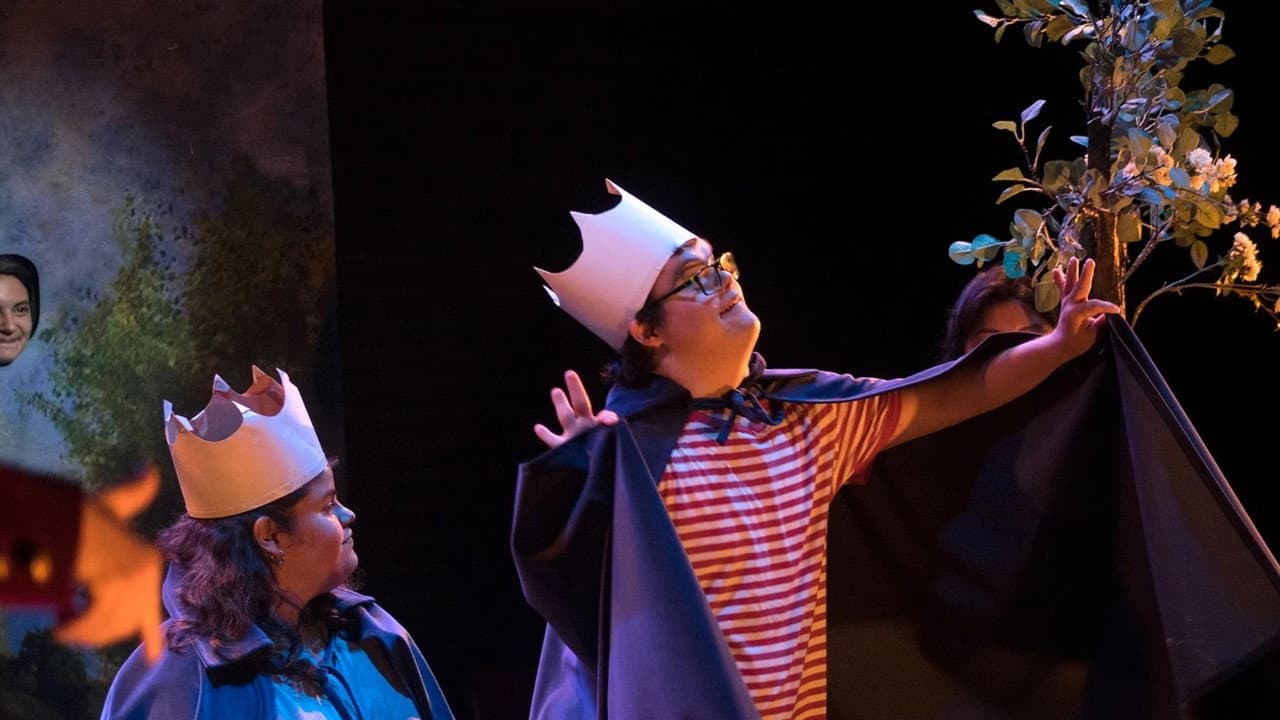 Backdrop – Ser Hamlet