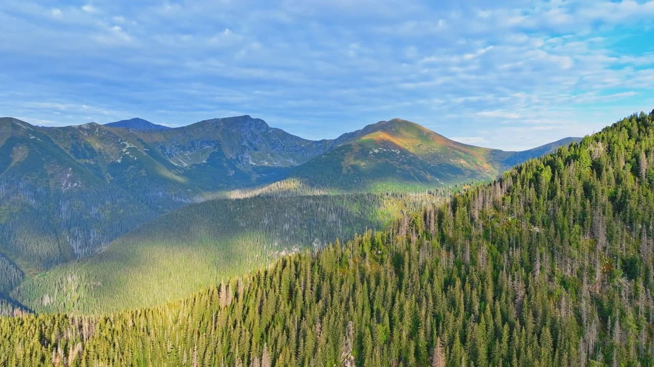 Backdrop – Miznúci svet hlucháňa