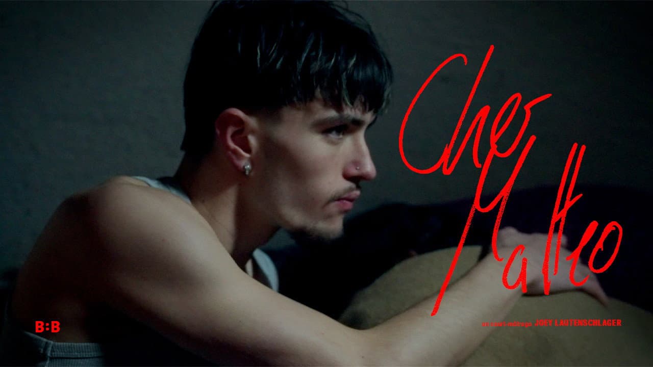 Backdrop – Cher Matteo