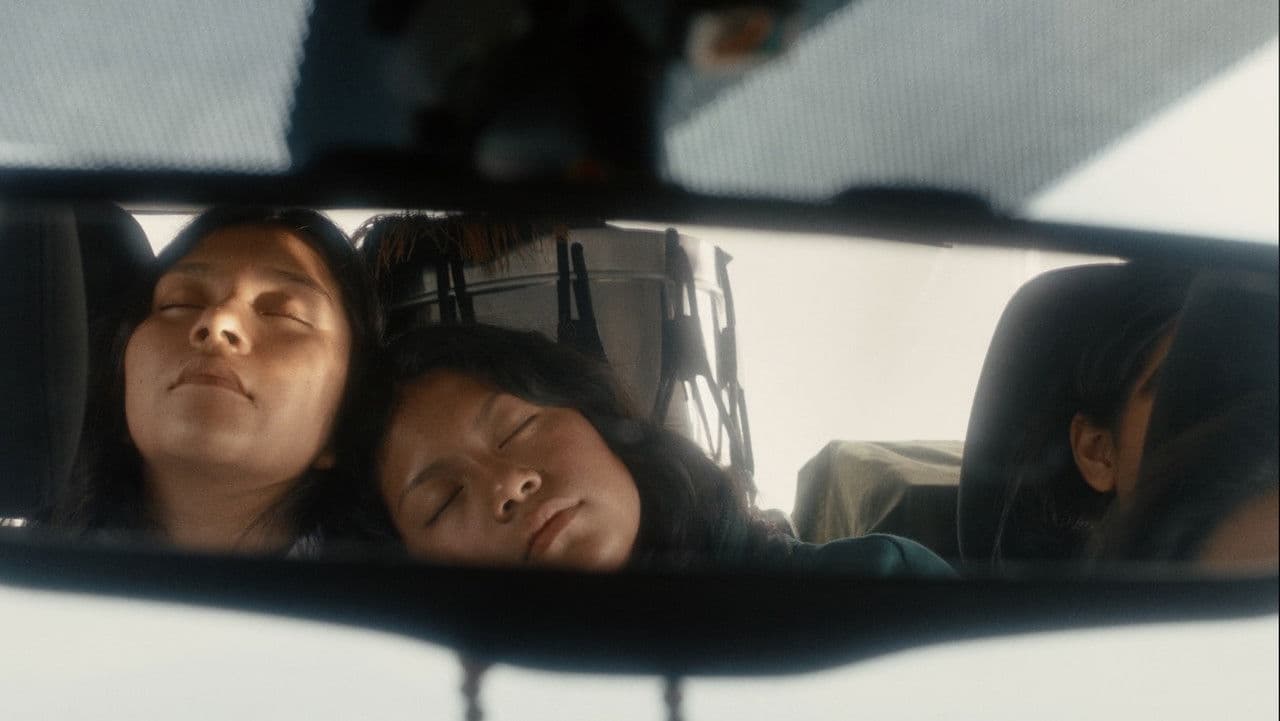 Backdrop – Toque Reglamentario