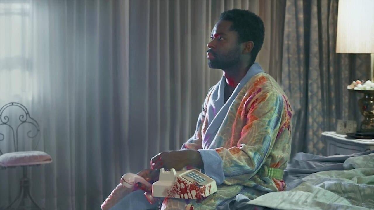 Backdrop – Nachtigall