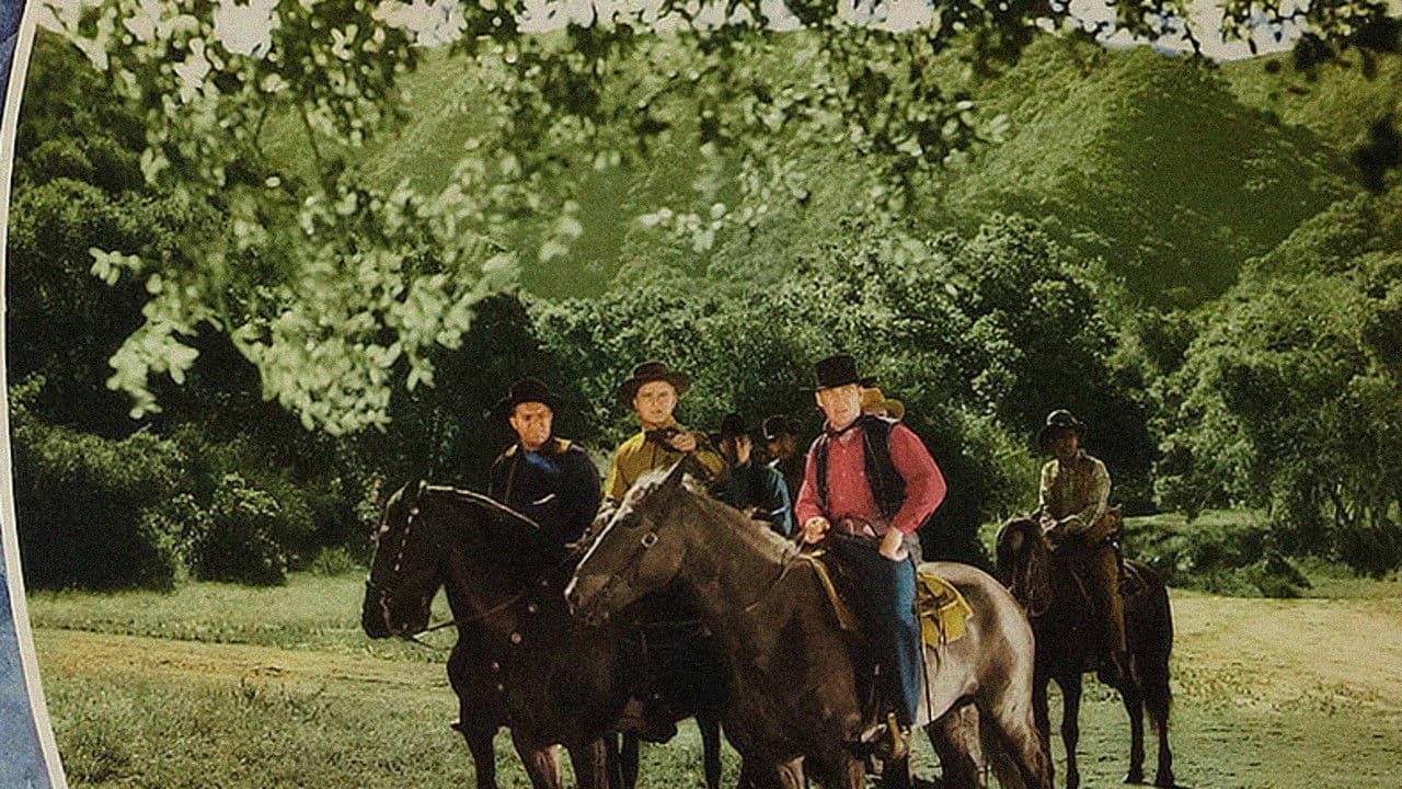 Backdrop – Desert Bandit